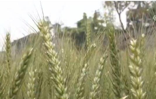 30年,浦東的巨變從何而來